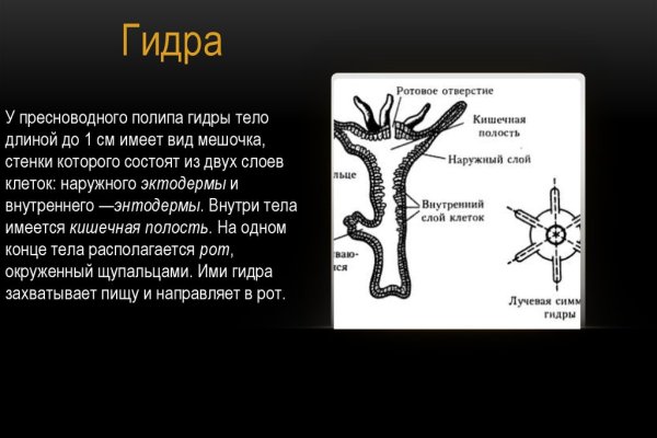 Как войти в кракен через тор