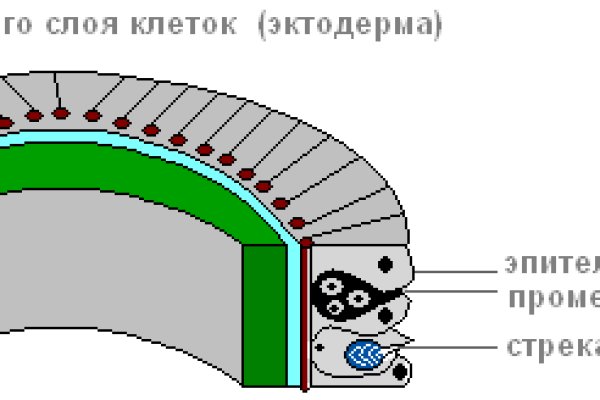 Как найти официальный сайт кракен