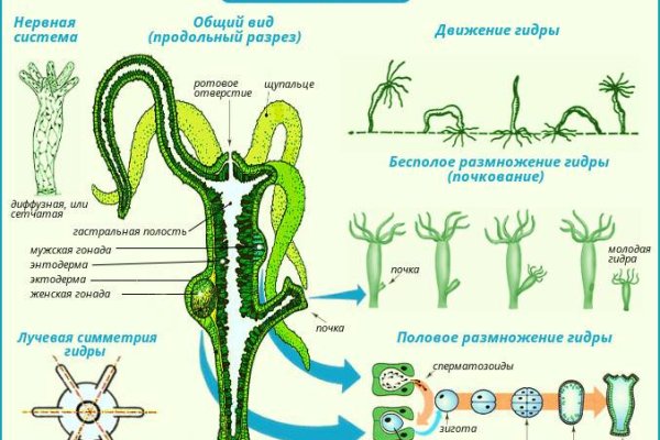 Kraken маркетплейс официальный