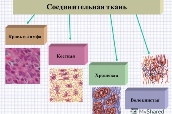 Где найти ссылку на кракен