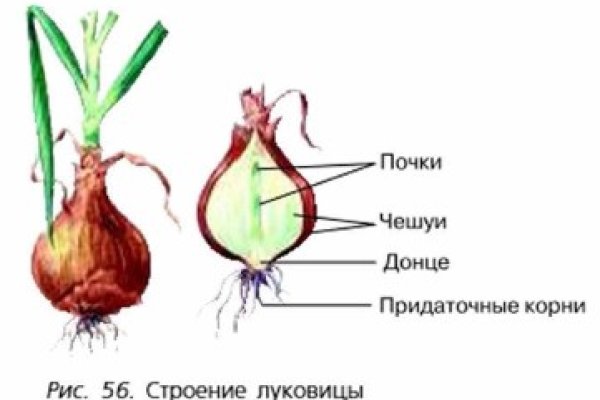 Как вывести с кракена